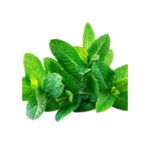 Scent leaves 100g
