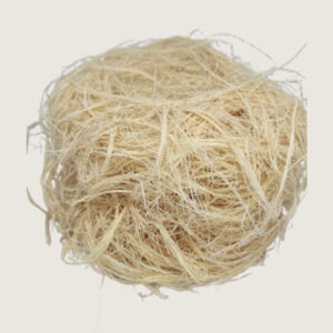 African Sponge