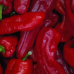 Shepherd Pepper(Tatashe)- 2lb