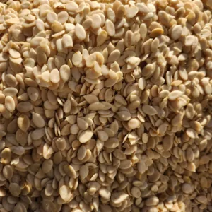 Egusi (Melon)